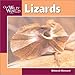 Lizards (Our Wild World)