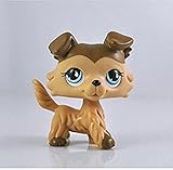 Five Stars Store Littlest Pet Shop Pet Littlest Collie Dog Child Girl Figure Toy Loose Cute