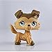 Five Stars Store Littlest Pet Shop Pet Littlest Collie Dog Child Girl Figure Toy Loose Cute