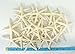 Starfish Decor - Star Fish for Craft - 30pk Real 3-4