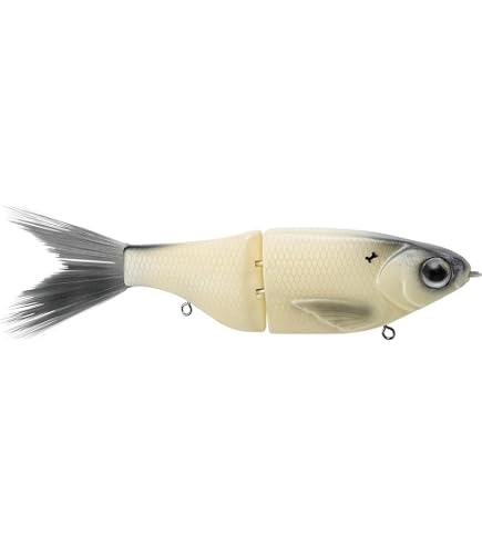 Amazon.com : Spro KGB Chad Shad Ghost Trout : Sports & Outdoors