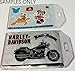 Clear Vinyl Luggage Tags with Loops & Name Cards (Set of 5)