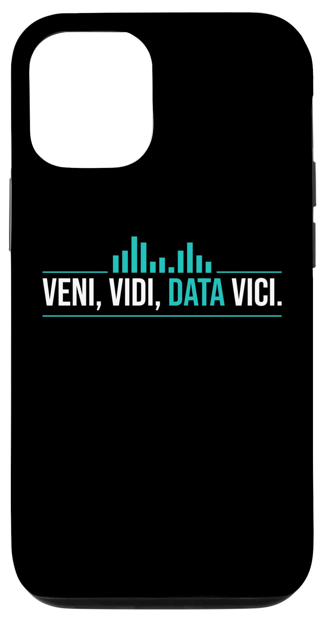 iPhone 13 Veni, Vidi, Data Vici Data Analyst Statistician Case