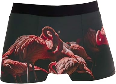 flamingo boxer briefs