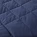 puredown Soft Goose Down Throw Blanket Lightweight Packable Couch Throw for Indoor and Outdoor Use, 50