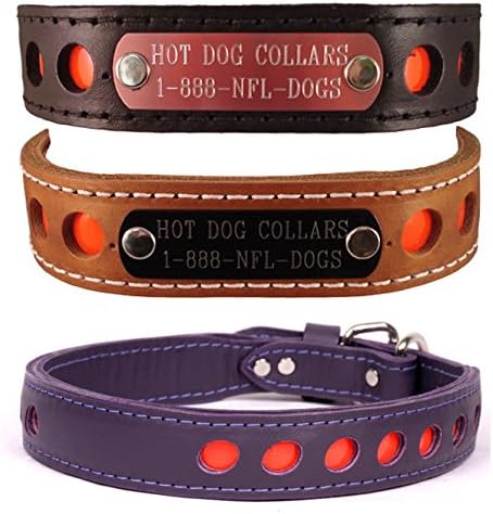 dog collar name plate built in