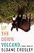 Up the Down Volcano (Kindle Single) - Book by Sloane Crosley