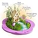 Light-up Fairy Garden Kit for Kids - Craft & Grow Your Own Indoor Gardening - Gift for Girls & Boys : Includes Everything for Planting a DIY Magical Enchanted Gardens - Fun STEM Crafts