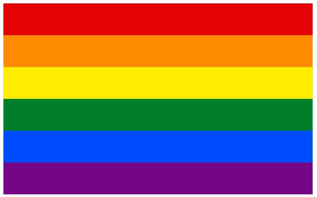 Lizzy Rainbow Gay Pride LGBTQ+ Flag (5ft x 3ft) with Eyelets | LGBT Rainbow Flag Pride Accessories Gay Pride Banner for Party Parades Carnivals Festival Decorations and Celebrations