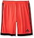 adidas Performance Boys Tastigo Shorts