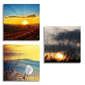 for Living Room Bedroom Home Artwork The Beautiful...