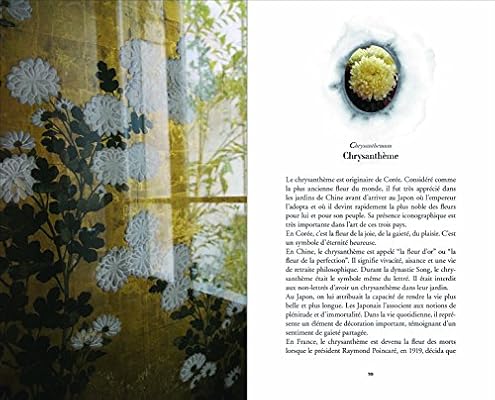 The Secret Language Of Flowers Notes On The Hidden Meanings Of Flowers In Art Othoniel Jean Michel 9782330048129 Amazon Com Au Books The Secret Language Of Flowers Notes On The Hidden Meanings Of Flowers In Art Othoniel Jean Michel 9782330048129 Amazon Com Au Books