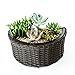 C-Hopetree Hanging Window Box - Deck Railing Planter for Outdoor Plants or Flowers