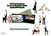 RFID Blocking Sleeve Credit Card Protective Sleeves Protect Your identity from Thieves -12 Pack