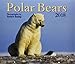 Polar Bears 2018 by