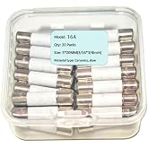 16A, T16A, 16AH250V, 16AH, Ceramic Fuse, T16A 250V, Slow Breaking Fuse 5 * 20mm /0.19 * 0.78inch (20Pcs)
