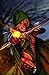Grimm Fairy Tales: Robyn Hood