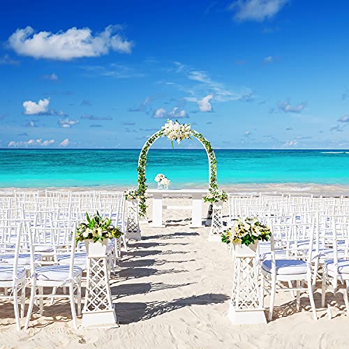 EXLECO Rosenbogen 240x140x38cm Gartenbogen Metall Stahlrahmen Pavillongestell Torbogen Garten für Kletterpflanzen… – Bild 6