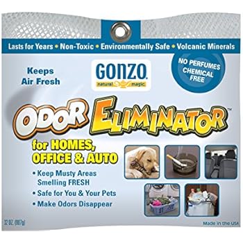 paint odor eliminator