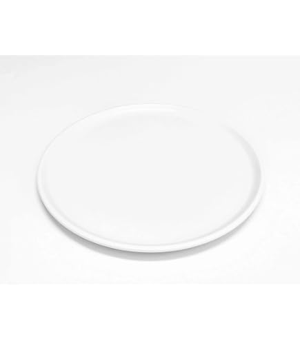 Amazon.com: Microwave White Ceramic Plate Compatible with Sharp