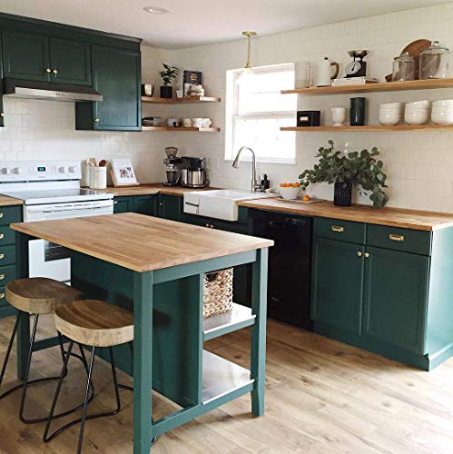 THE ONE ALL-IN-ONE PAINT & PRIMER: DURABLE FURNITURE, CABINET, FRONT DOOR, WALL, BATHROOM, KITCHEN – FAST DRYING INTERIOR & EXTERIOR CRAFT PAINT (GREEN, GLOSS, 8.5OZ)