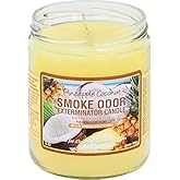 Smoke Odor Exterminator Candle, Pineapple & Coconut - 13 oz