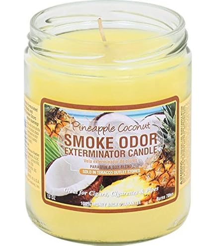 Amazon.com: Smoke Odor Exterminator 13oz Jar Candle, Clothesline Fresh :  Home & Kitchen