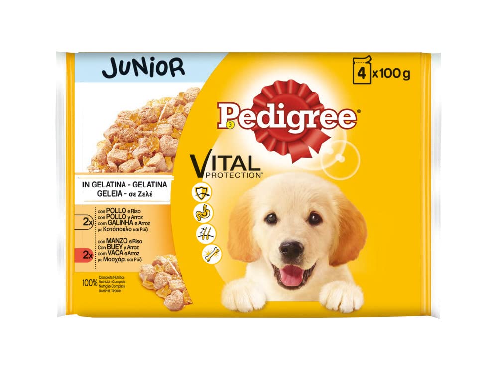 Pedigree Multipack Wet Dog Food Junior Gelatin, Ox Chicken and Rice Flavor (13 Packs x 4 Bags x 100g)