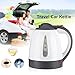 1000mL Portable Car Electric Kettle Water Heater Bottle Boil Water Coffee Tea Mug Portable Travel Hot Water Pot with Built in Over temperature Protection Device, 12V(12V)