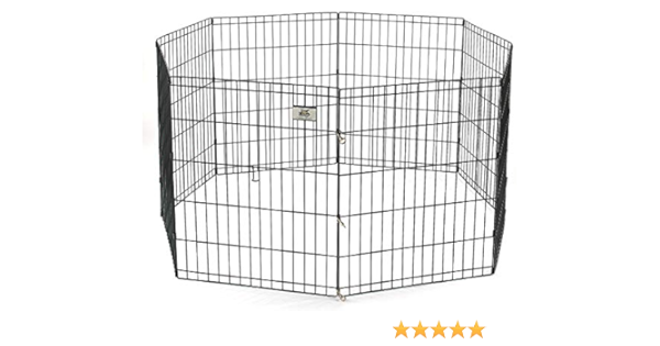 vibrant life exercise pen