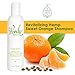 The Wonder Seed Hemp Shampoo, All Natural Organic Formula, Vegan Friendly Blend, Best Solution For Dry Itchy Scalp/ Dandruff/ Oily Hair and More, Proudly Cruelty Free (Sweet Orange), 8 oz.