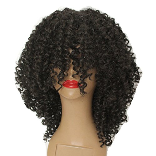 vanessa afro wig