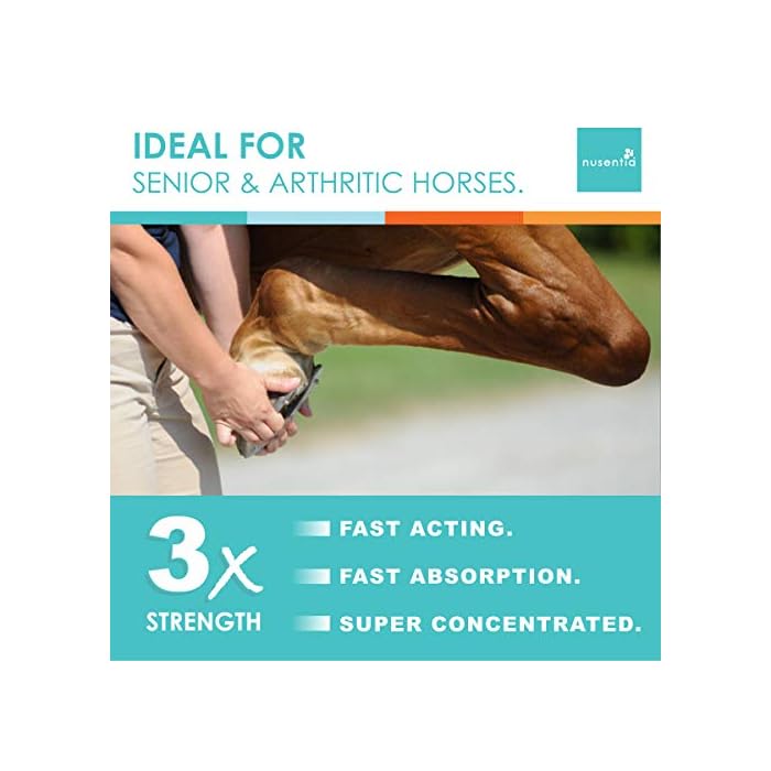 Horse Joint Supplement New Larger Size (1 GAL) Equine Glucosamine