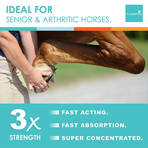 Horse Joint Supplement New Larger Size (1 GAL) Equine Glucosamine