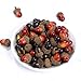 Sumind 70 Pcs Artificial Acorn Thanksgiving Fake Acorns Decoration Lifelike Small Acorns with Natural Cap Bulk for Fall Crafts DIY Vase Filler Ornament Home Wedding Decor