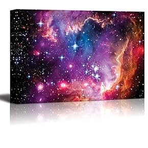 The Magellanic Cloud is a Dwarf Galaxy and...