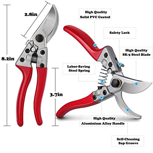HyleJhJy 8" Bypass Pruning Shears with Stainless SK5 Steel Blades + Straight Tip Pruning Shears Herb Pruning Shears Florist Scissors- Hand Pruner Scissors for Garden Harvesting Fruits Vegetables,Red - Thumbnail 4