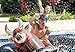 Inflatable Giant Bull-Riding Summer Party Pool