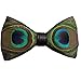 Novelty Feather Bow Tie Natural Material Bowtie (Peacock)