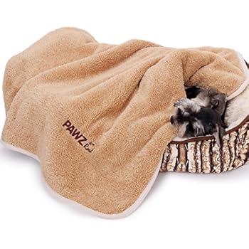 Amazon.com: Embroidered Dog Blanket Personalized Dog Blanket Bedding