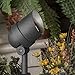 Sterno Home GL22720BK, Black Paradise Low Voltage Cast Aluminum 50-Watt Halogen Spot Light