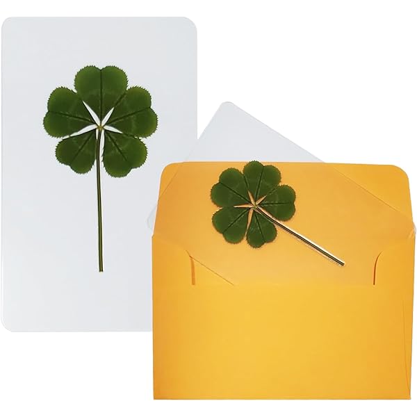 Amazon.com: Clovers Online Genuine Preserved 5 Leaf Clover Good