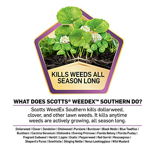 Scotts WeedEx Southern 4,000 sq. ft., Weed Control, Kills Dollarweed