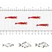 THKFISH Fishing Lures Fishing Bait Soft Lure Worms Glow Shrimps Fishing Lures for Bass Crappie Fishing Lures Glow 45mm 0.4g 54pcs
