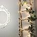 String Lights, LISOPO 8.25Ft /100 LEDs USB Powered Waterproof Photo Clip Fairy Starry Lights Led String Lights Decoration for Party, Christmas, Garden, Xmas (Warm White)