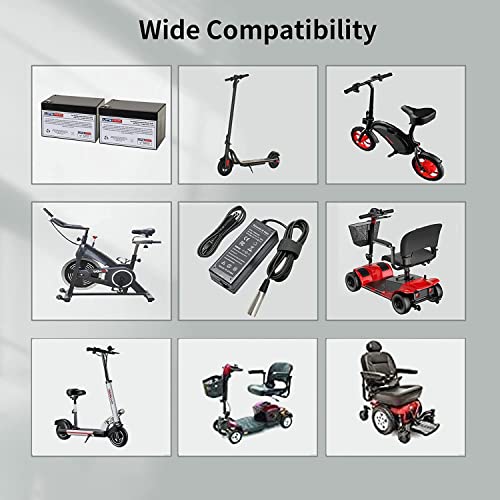 24V 2A Electronic Scooter Battery Charger for Go-Go Elite