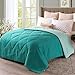 Exclusivo Mezcla Lightweight Reversible Down Alternative Quilted Comforter Duvet for All Seasons, Twin Size, Teal Green