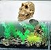 Driak 3Pcs Fish Tank Decorative Aquarium Decorations Head Bone Skull Resin Ornament for Reptile or Fish