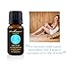 Eucalyptus Essential Oil of 100% Proven Purity for Professional Aromatherapists (for Home Use, see Warnings) Derived Wholly from the Eucalyptus Tree. Half Ounce (15 ml)