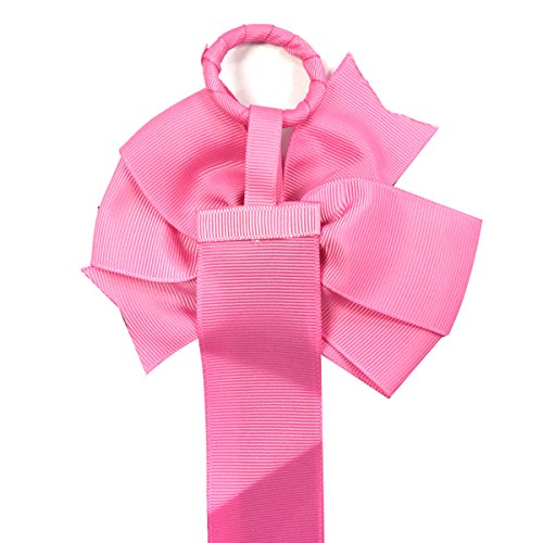 Wrapables Hair Clip and Hair Bow Holder, Hot Pink Chevron